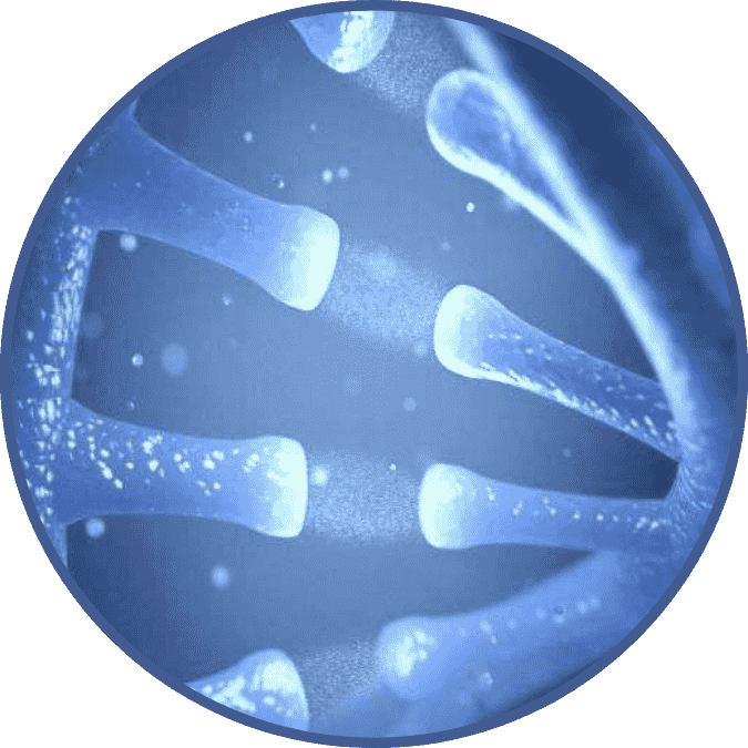 Nucleic Acid